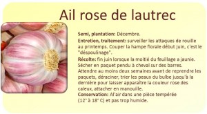 Ail rose de lautrec