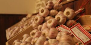 Ail rose de Lautrec - Grappes (1kg)