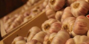 Ail rose - Qualité supérieure - Grappes (1kg)