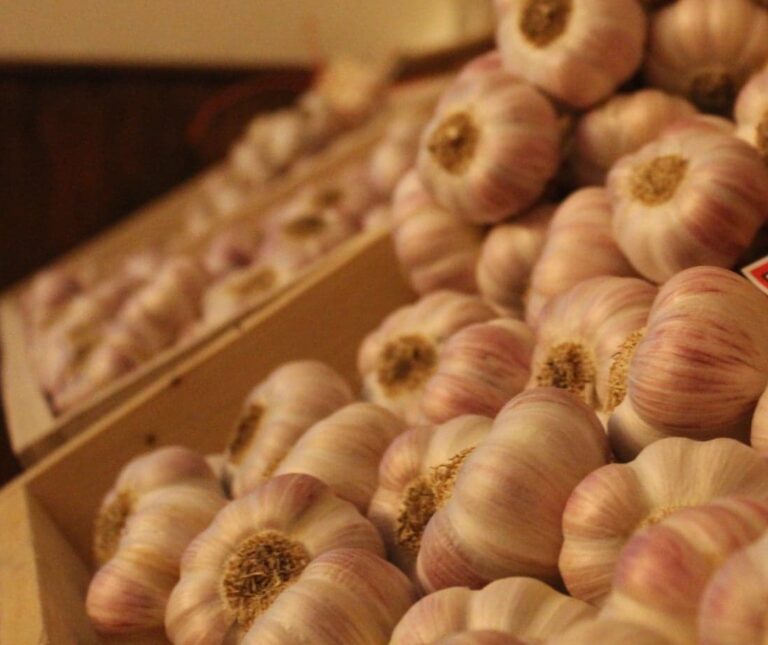 Grappe d'ail rose de Lautrec 1 kg – IGP Label Rouge