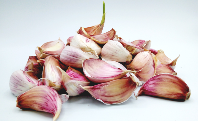Semence ail rose - 500g en grains