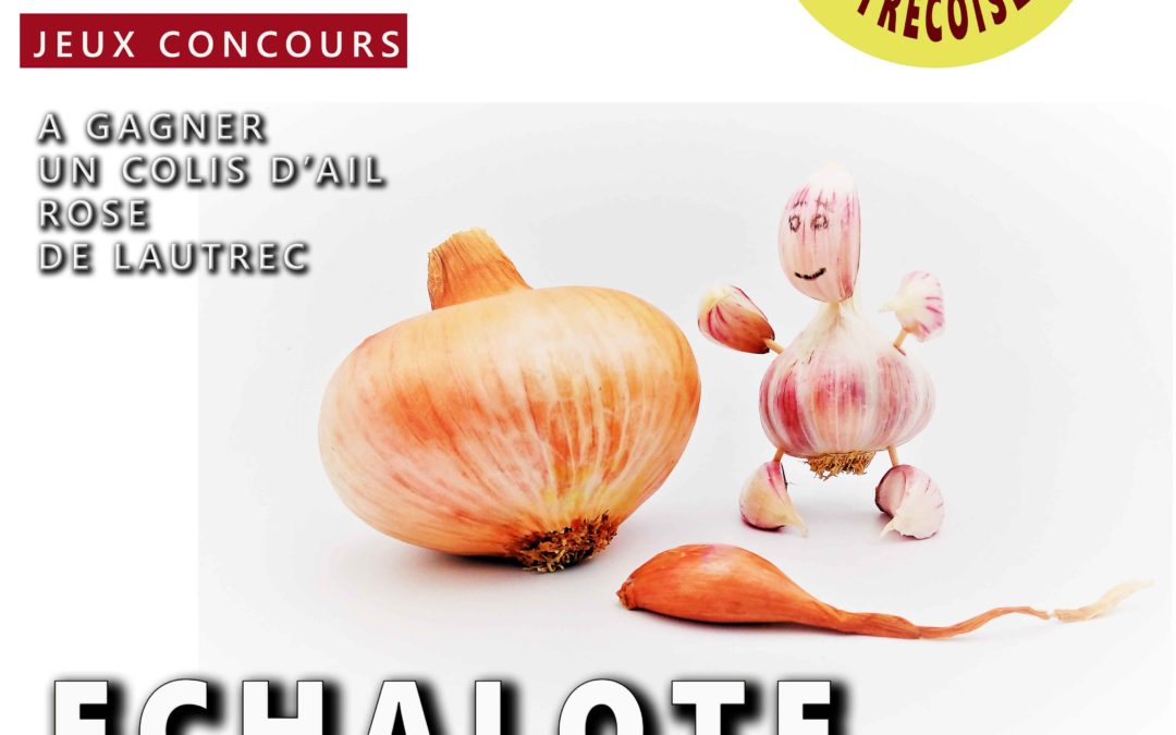 Echalote, l’histoire secrète de sa reproduction