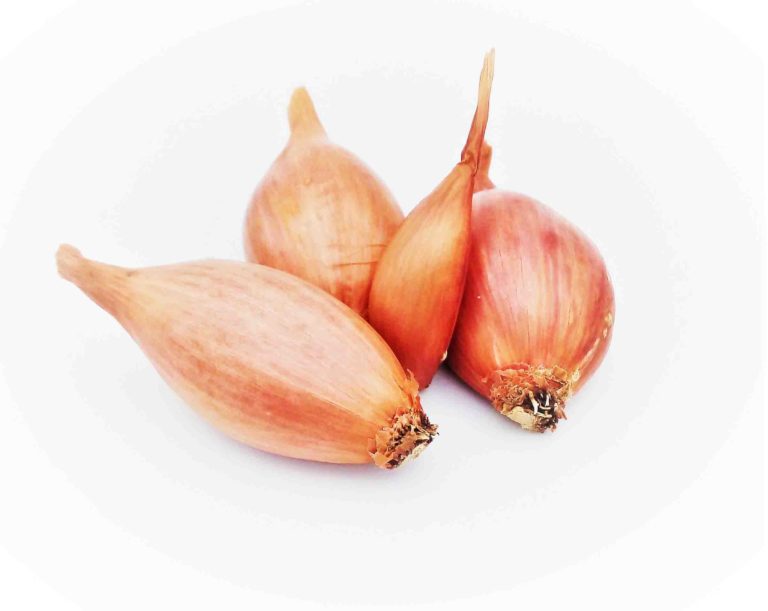 Echalote de la ferme 500 g