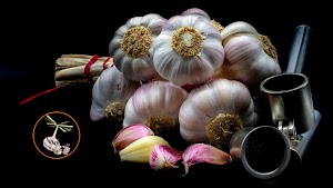 La Lautrecoise Ail rose de Lautrec place picture