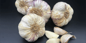 Ail violet en tête (1kg)